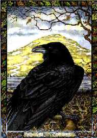 Raven Graphic