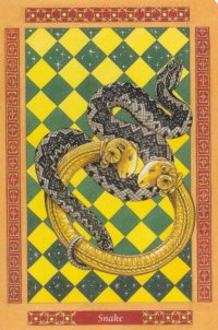 beasts card - snake